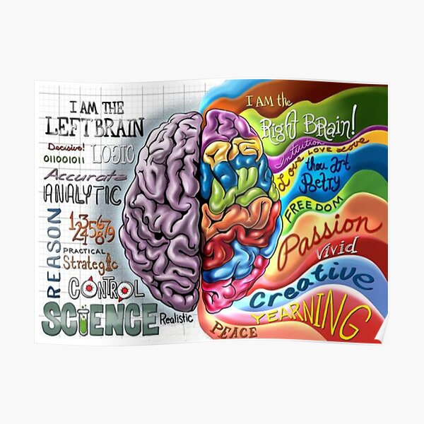 Left and right side of the brain Poster