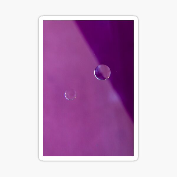 Shades of Purple I Sticker