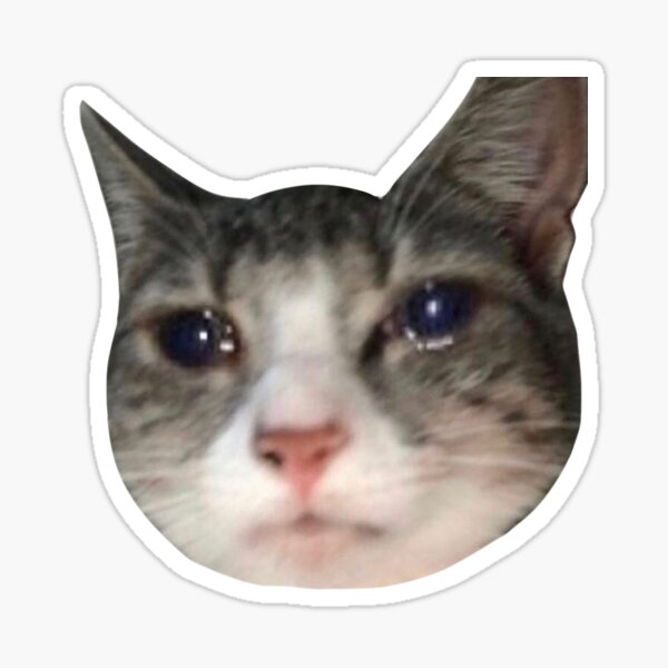 Sad Crying Meme Face Sticker for Sale by Justin Is my name