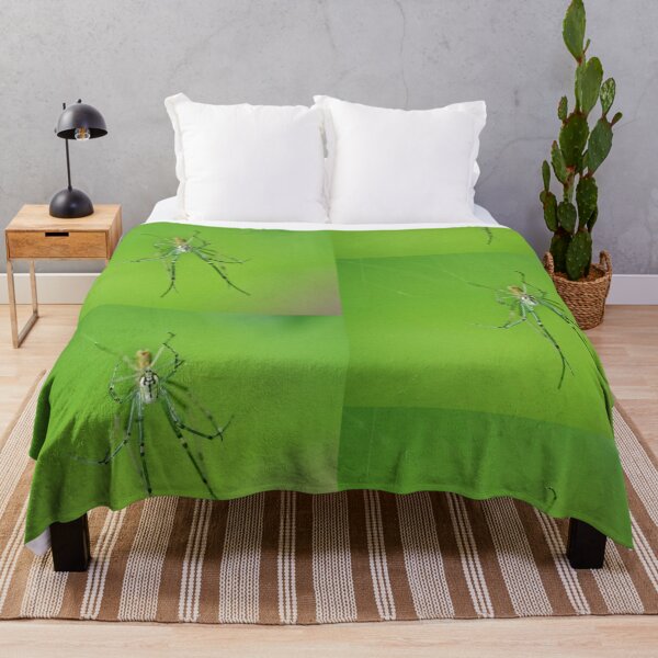 Item preview, Orchard spiders mating designed and sold by J Rier Photography.