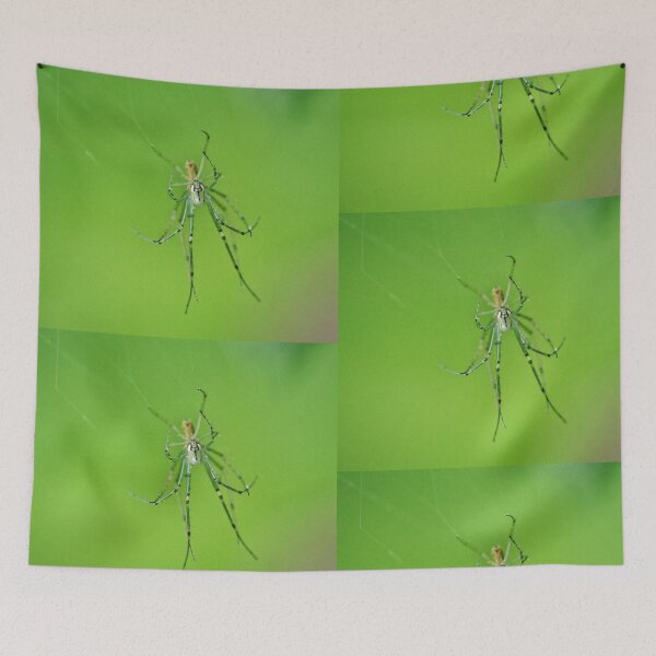 Item preview, Orchard spiders mating designed and sold by J Rier Photography.