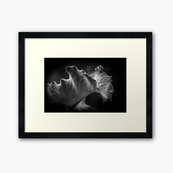Unfurling Framed Art Print