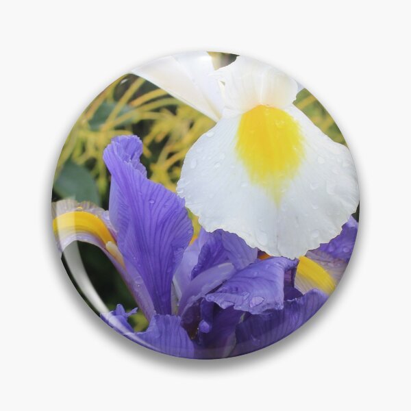 Item preview, Purple & White Iris  designed and sold by Penwortham.