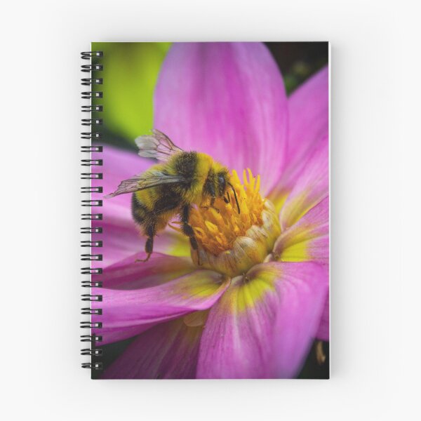 Item preview, Honey Bee designed and sold by ShoobeeDesigns.