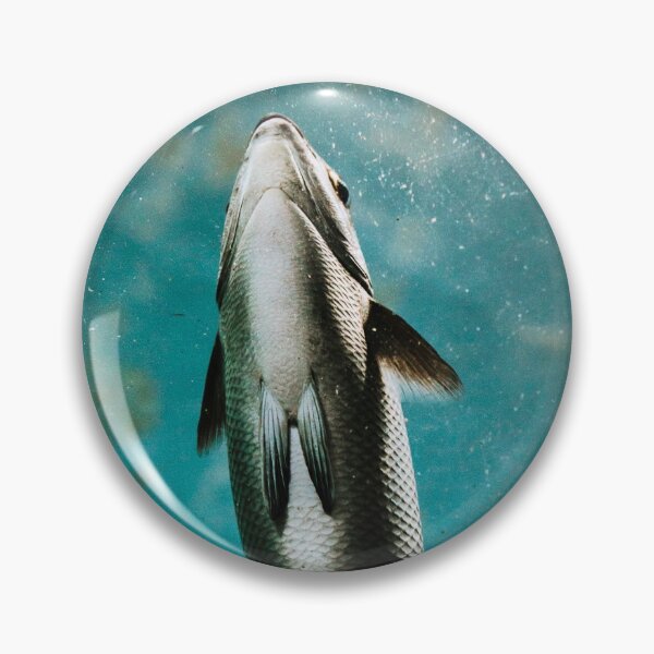 Item preview, Focused and Determined designed and sold by Valerie Rosen Photography.
