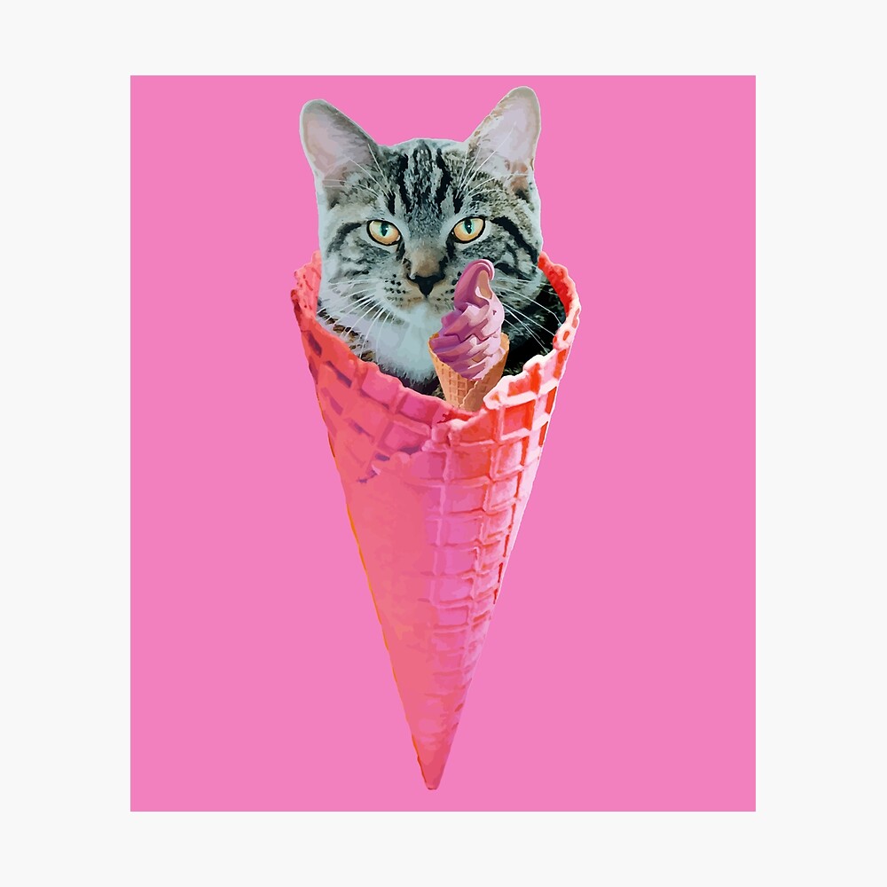 Poster Gaufre A La Creme Glacee Pour Chat Blackpink Par N1cecream Redbubble