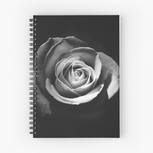 Aperçu de l'œuvre  La rose créée et vendue par TeeBeesDesign.