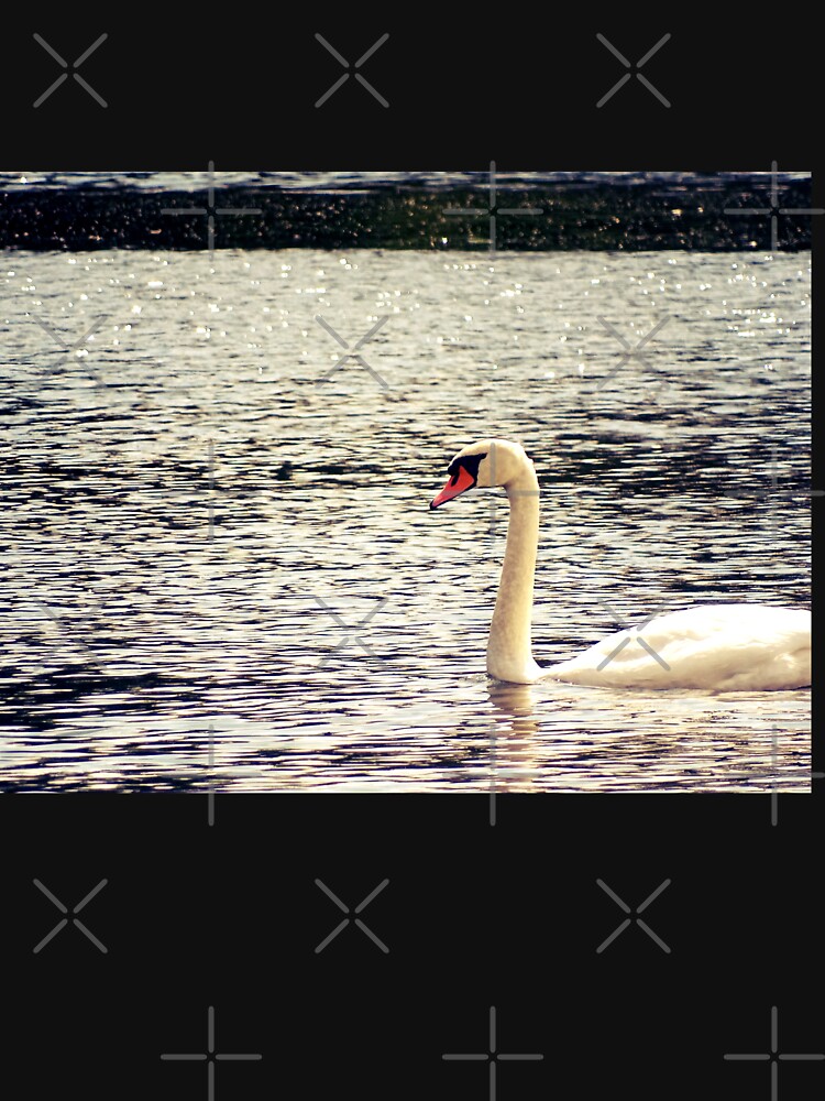 Swan, Swan sticker, Swan magnet, Swan socks by PicsByMi
