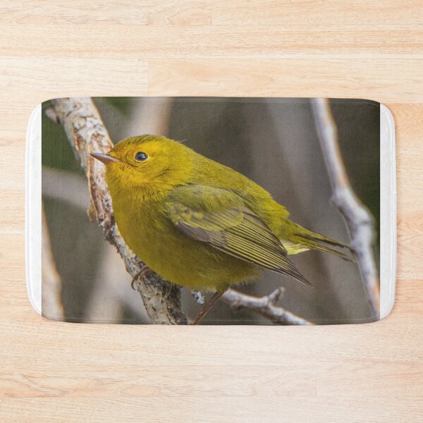Item preview, A Golden Warbler Perched On A Tree Branch designed and sold by FreelanceJim.