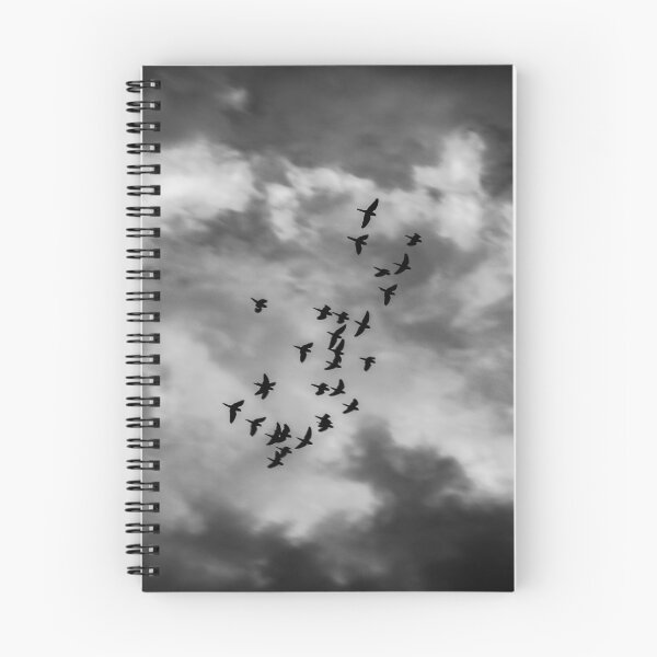 Item preview, birds in flight in a dramatic sky designed and sold by ricobarinas.