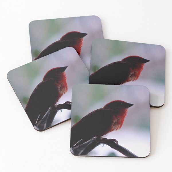 Item preview, THE RED BIRD designed and sold by BOLLA67.