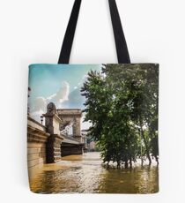 River and bridge during flood Tote Bag