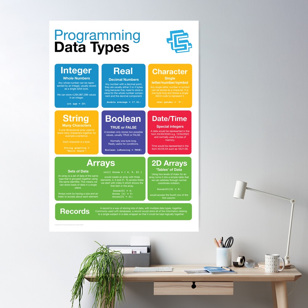 Programming Data Types (Coding Literacy) Poster