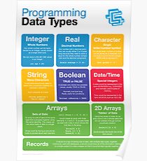 Programming Data Types (Coding Literacy) Poster