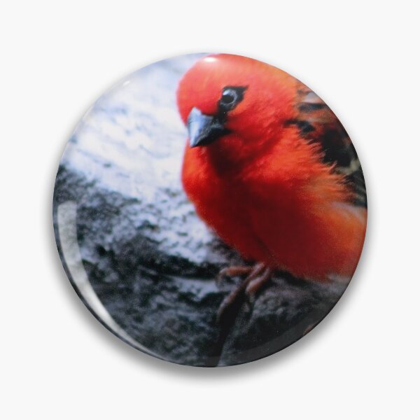 Item preview, WIDE EYE designed and sold by BOLLA67.