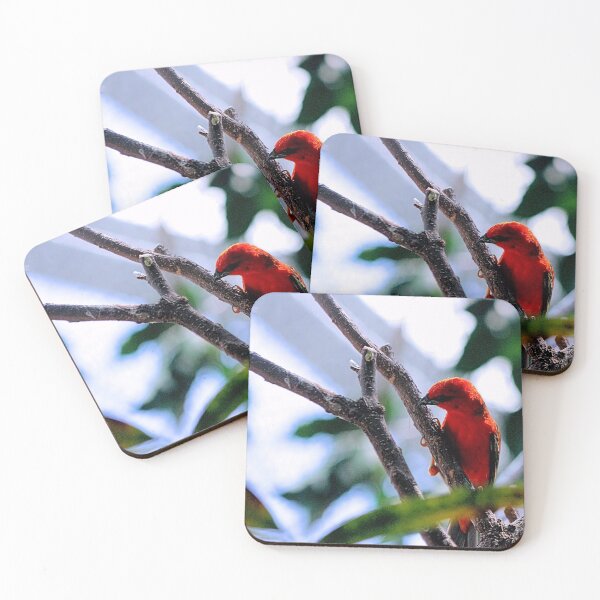 Item preview, FAST RED designed and sold by BOLLA67.