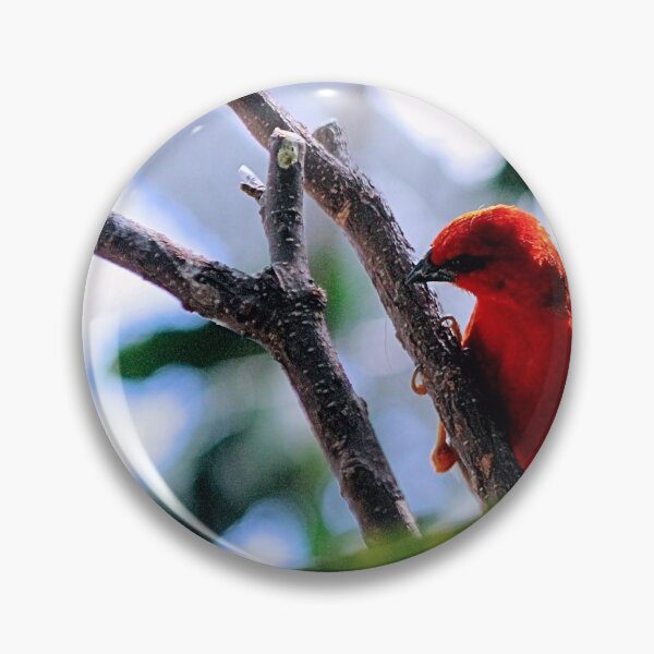 Item preview, FAST RED designed and sold by BOLLA67.