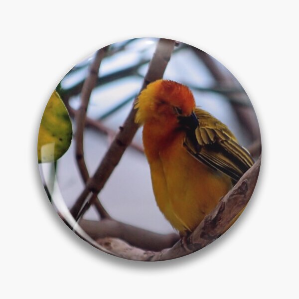 Item preview, PREENING,CLEANING designed and sold by BOLLA67.