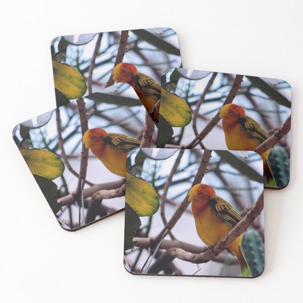 Item preview, PREENING,CLEANING designed and sold by BOLLA67.