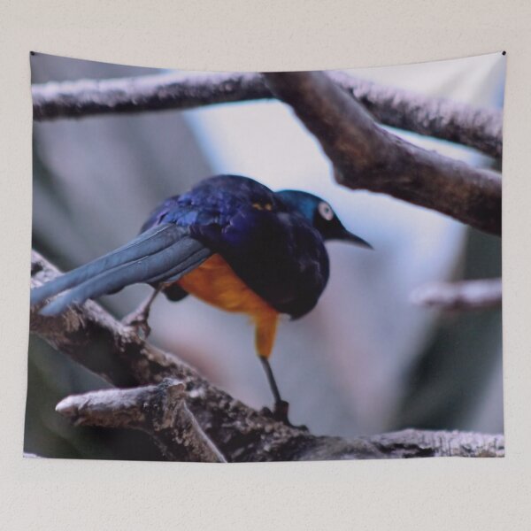 Item preview, THE TAIL END designed and sold by BOLLA67.