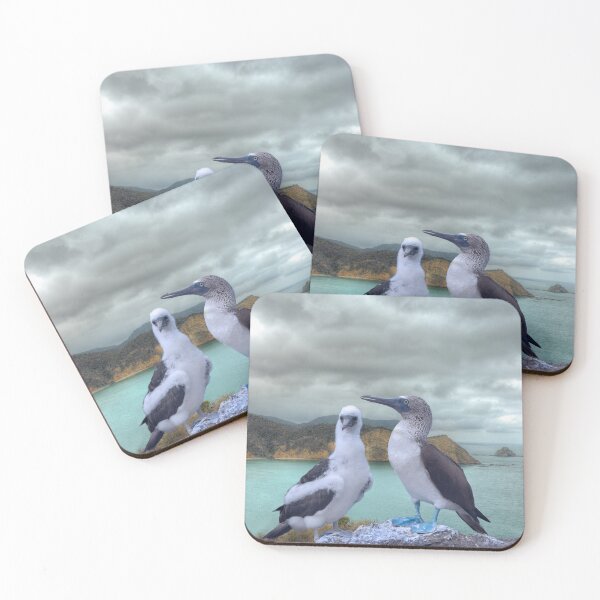 Item preview, Blue Footed birds on top of the world designed and sold by Steven Kight.