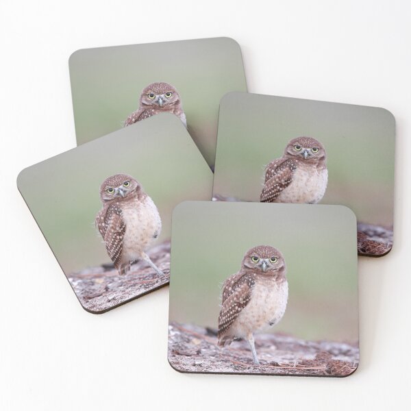 Item preview, Owlet designed and sold by mlorenz.