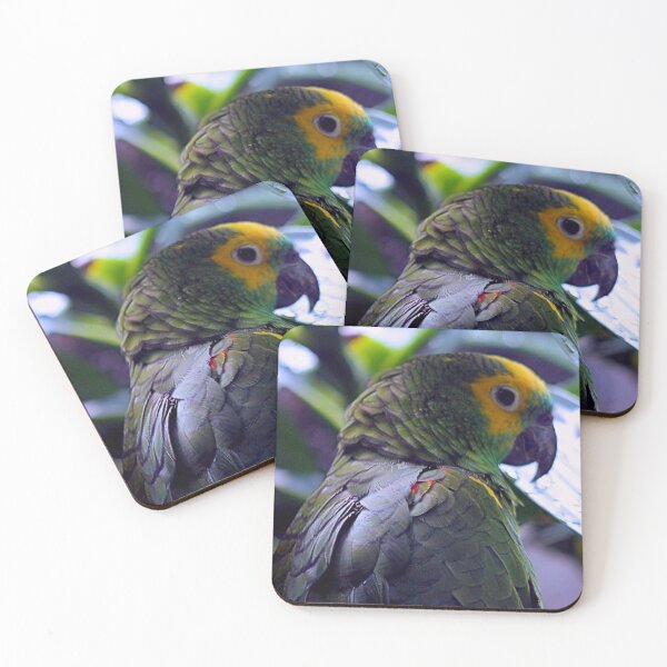 Item preview, THE GREEN PARROT  designed and sold by BOLLA67.