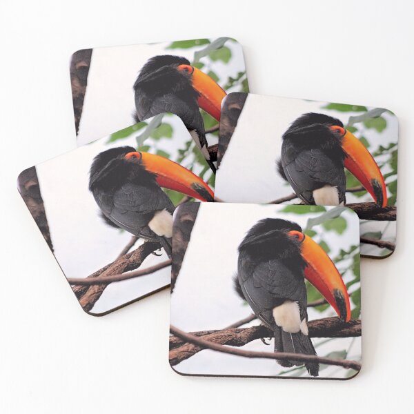 Item preview, LONG BEAK designed and sold by BOLLA67.