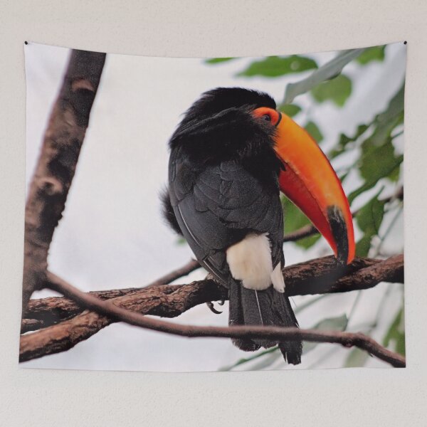 Item preview, LONG BEAK designed and sold by BOLLA67.