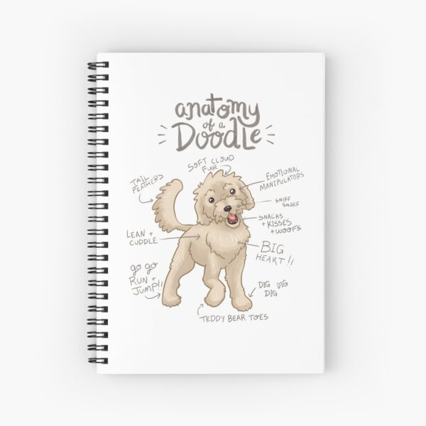 Item preview, Anatomy of a Doodle designed and sold by showersnack.