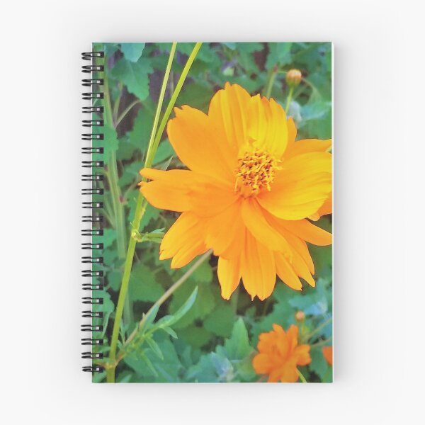Item preview, Flor naranja designed and sold by asitflows.