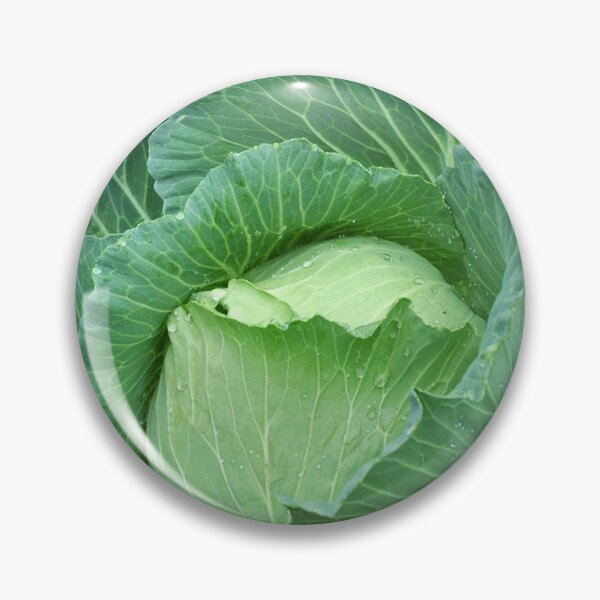 Item preview, FRESH GIANT GREEN CABBAGE | Abstract Photo designed and sold by PhotoStory.