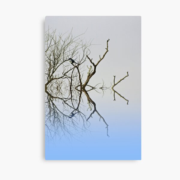 Magpie Canvas Print