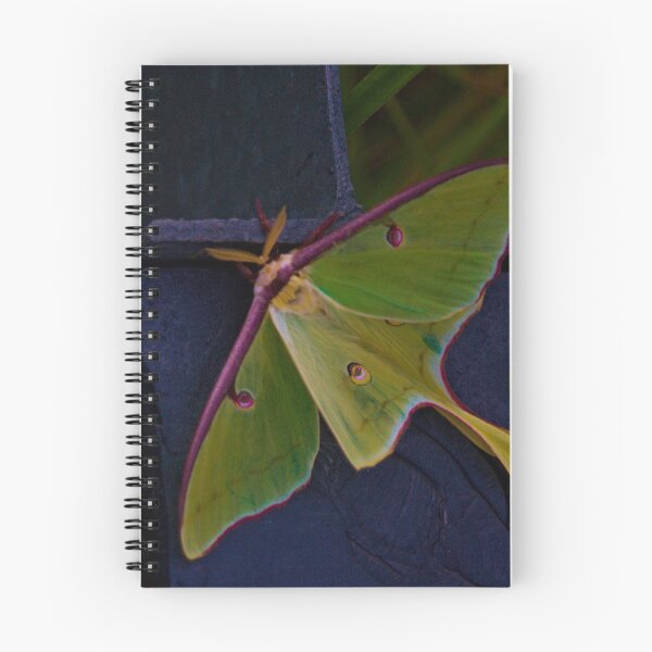 Item preview, Luna Moth designed and sold by Kitkatfoxx.
