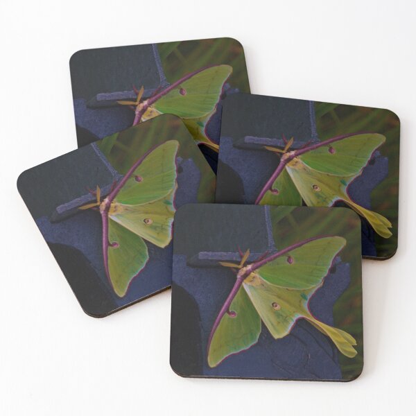 Item preview, Luna Moth designed and sold by Kitkatfoxx.