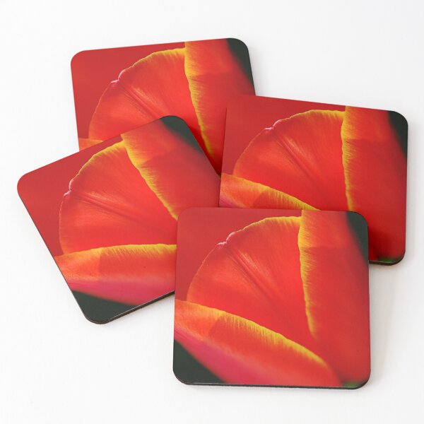 Aperçu de l'œuvre Tulipe rouge à pointe jaune vif créée et vendue par Joy Watson - Natural Light Photography .