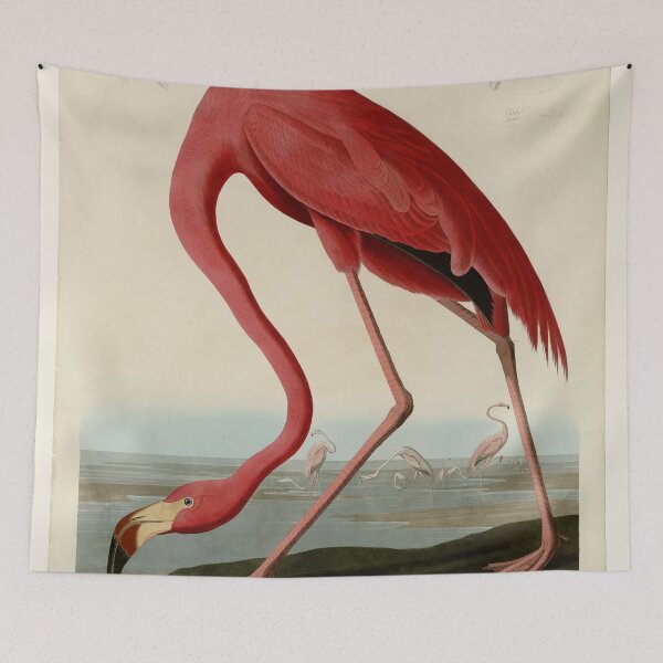 Item preview, 431 American Flamingo designed and sold by Bird-Lore.