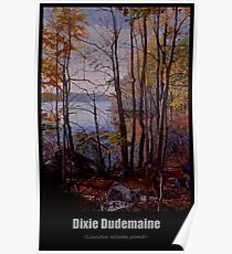 Lincoln Woods pond Poster