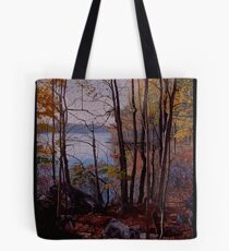 Lincoln Woods pond Tote Bag