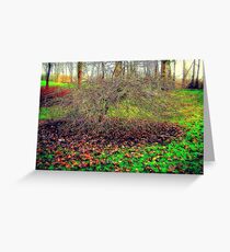Natures Paintbrush Greeting Card