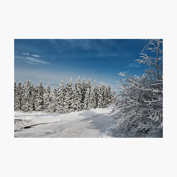 Item preview, Snowy Country Lane designed and sold by Lois  Bryan.