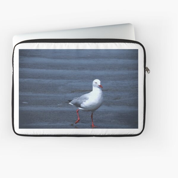 Item preview, Seagull designed and sold by Pam Amos.