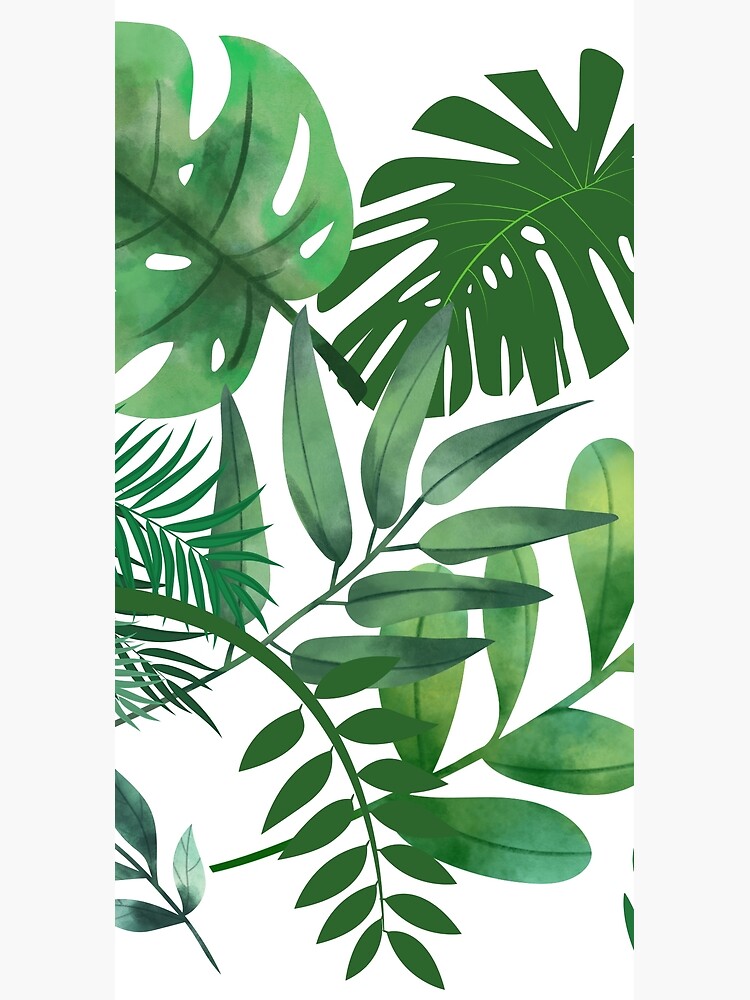 Shades of Green Leafy World by lifelifestyle