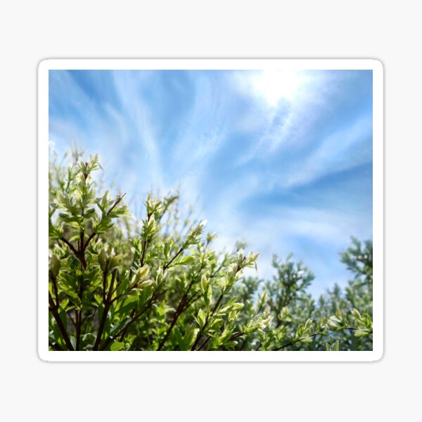 Item preview, Der Frühling ist da! designed and sold by DreamLand-Media.