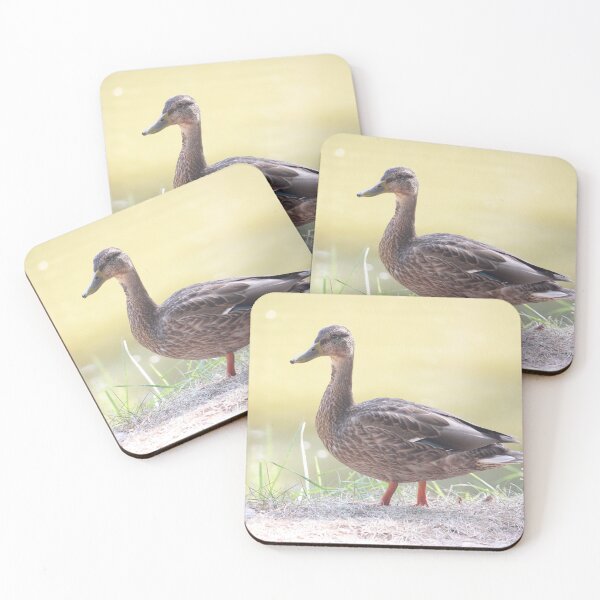 Item preview, Duck designed and sold by AriusLT.