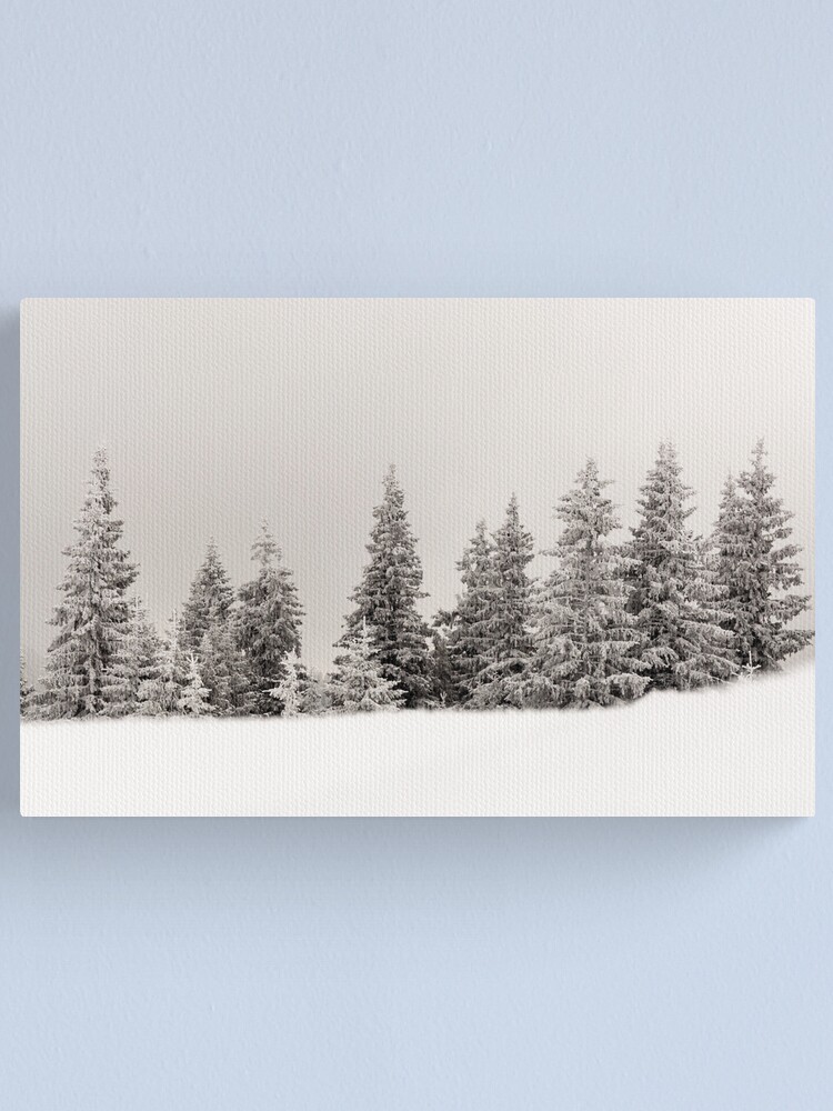 Alternate view of Winter colors Canvas Print