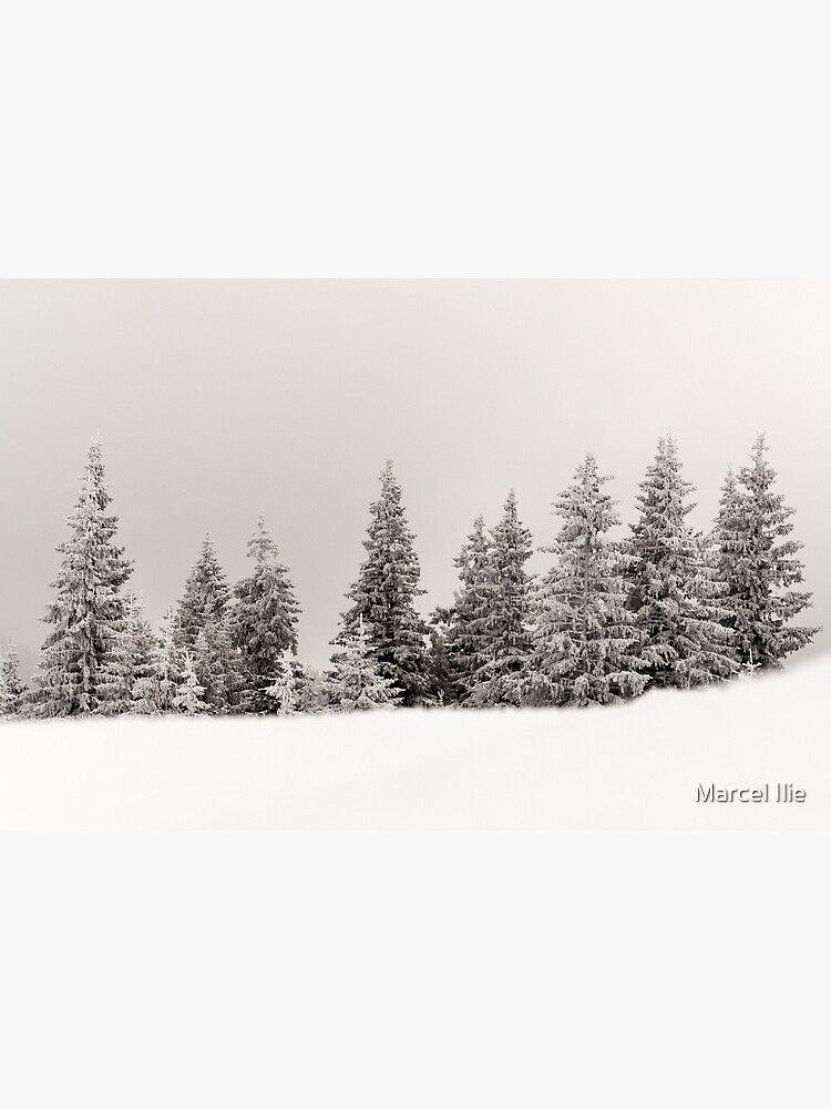 Winter colors by imaruseru