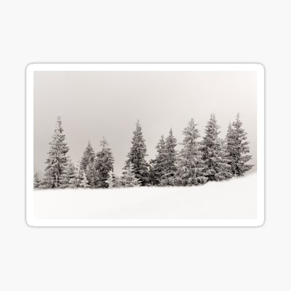 Winter colors Sticker