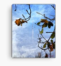 Telstra Tower in the Mist Canvas Print