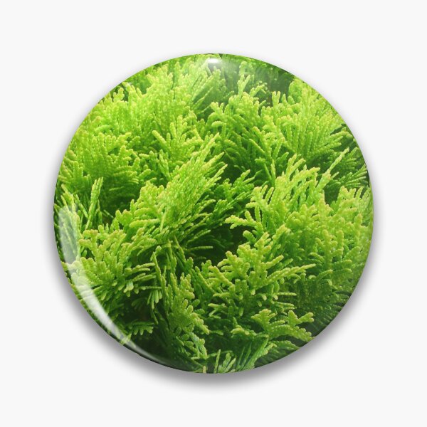 Item preview, Wild Floral, Green leaves, Green Nature,leaf, wild floral flowers, Greenery, Forest designed and sold by Anastasiia87.